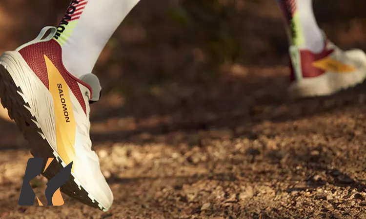 تأسیس سالامون در قلب کوه های فرانسه؛ آغاز یک مسیر متفاوت