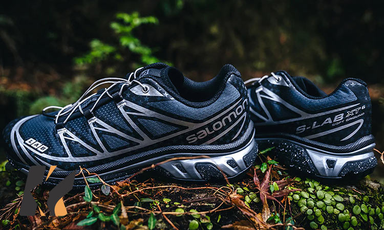 روند گسترش و توسعه برند سالامون