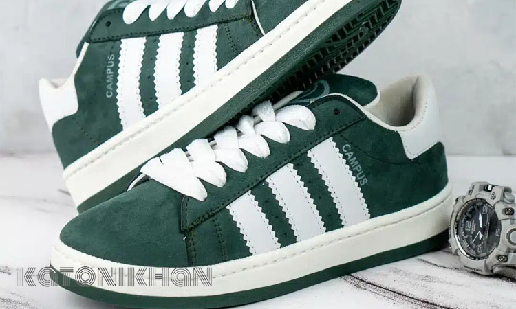 نقش مصرفکنندگان در گسترش کفشهای سبز